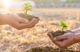 10 documentários sobre meio ambiente