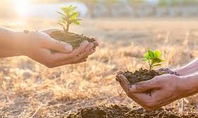 10 documentários sobre meio ambiente