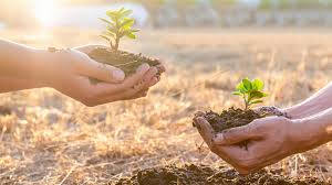 10 documentários sobre meio ambiente