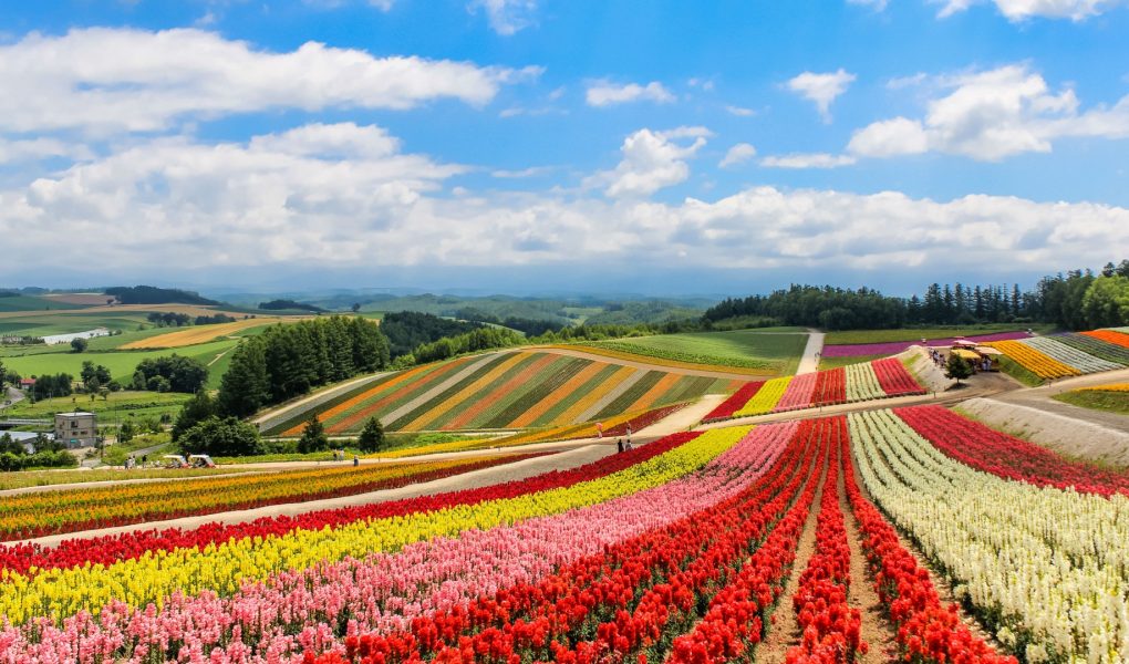 O turismo exótico de Hokkaido