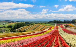 O turismo exótico de Hokkaido