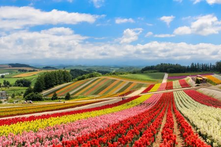 O turismo exótico de Hokkaido