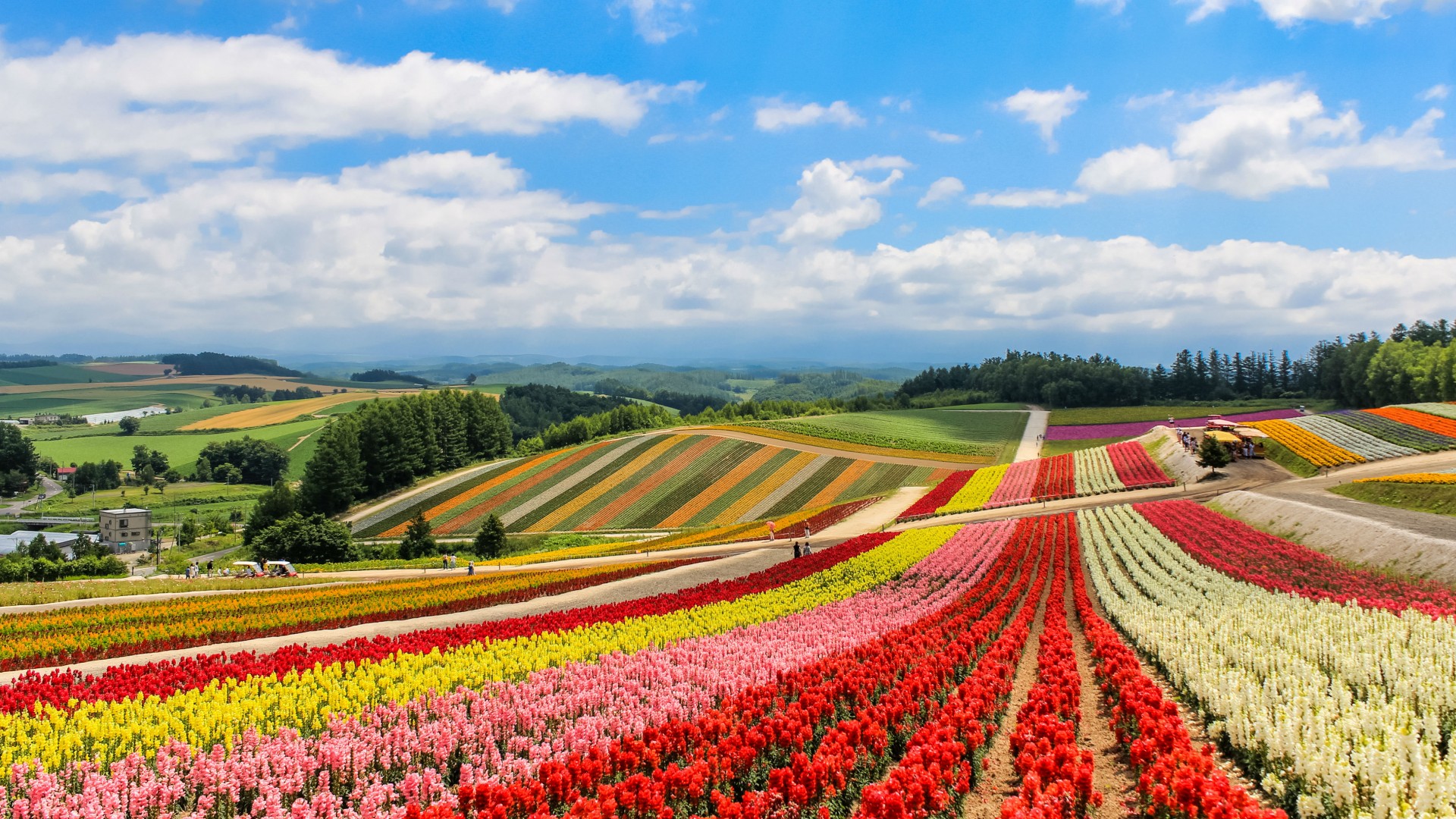 O turismo exótico de Hokkaido