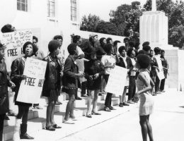 A verdade sobre o grupo Pantera Negra