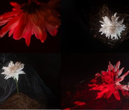 Katábase: a descida como experiência viva