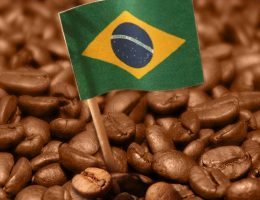 A história do café