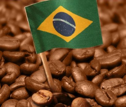 A história do café