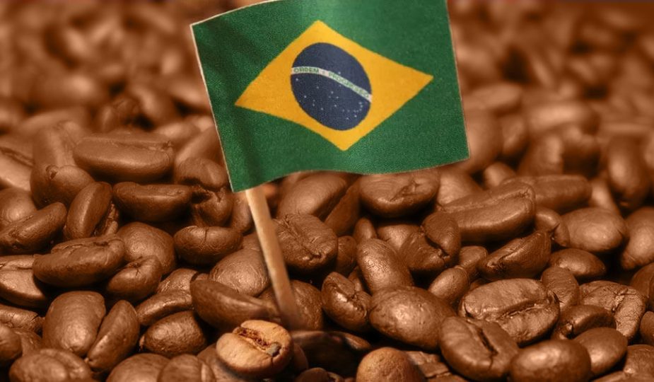 A história do café