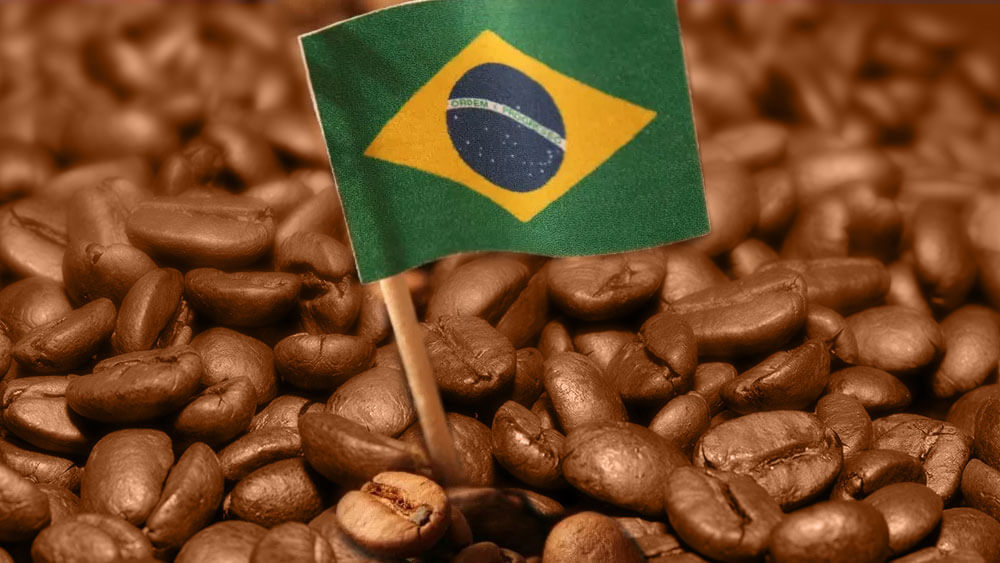 A história do café