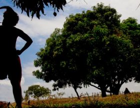 Dia do Folclore: lendas brasileiras e as histórias reais