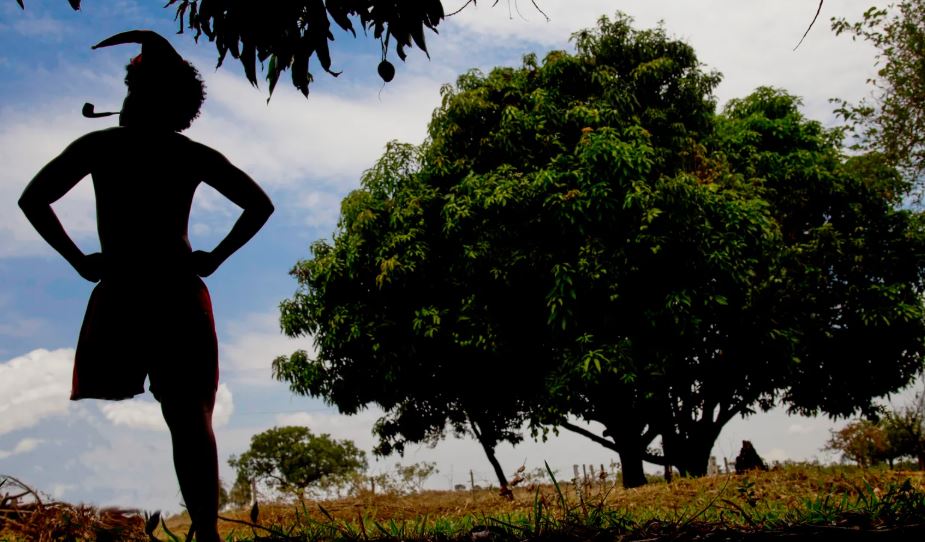 Dia do Folclore: lendas brasileiras e as histórias reais