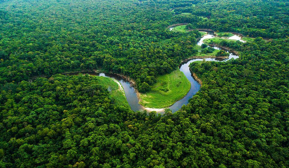 O que é o Dia da Amazônia?